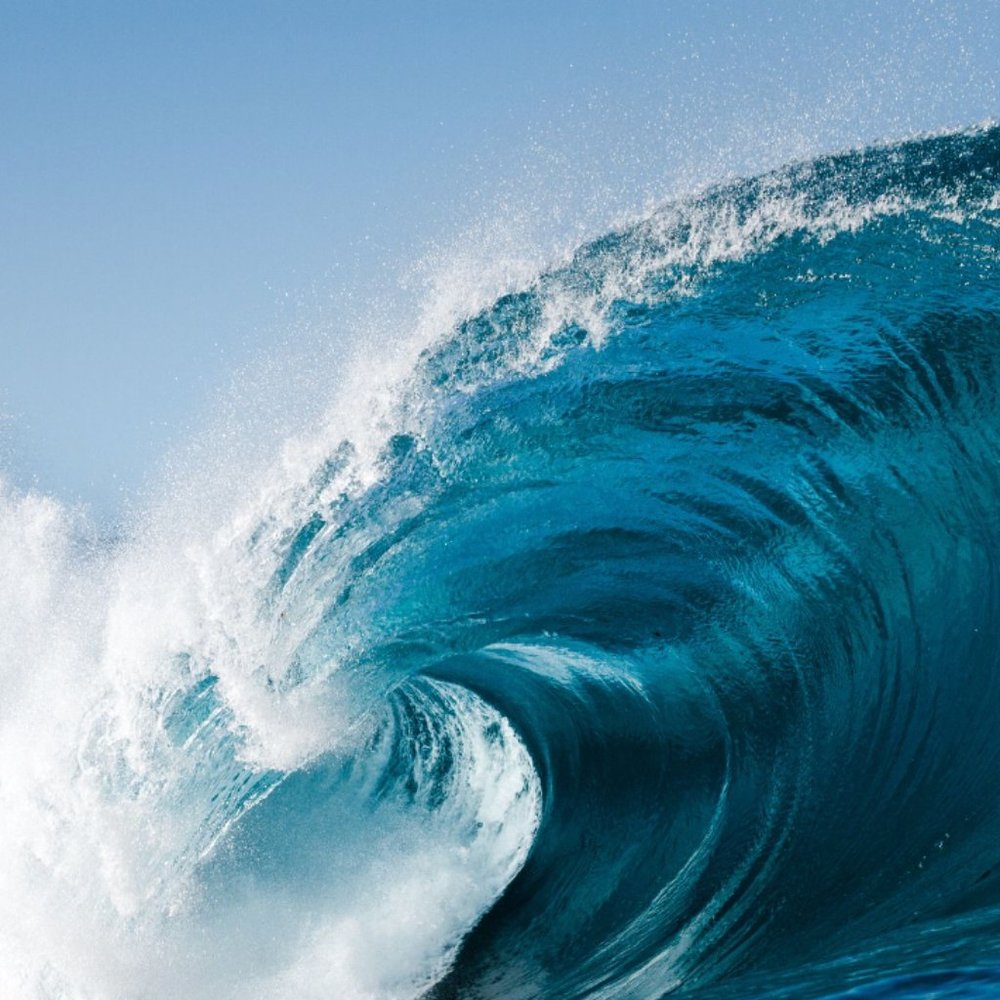 Meet your Posher, Andy